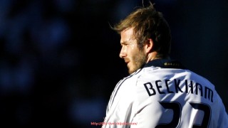 世俱杯直播-各种健身器材名称大全及用途详解，新手入门必备